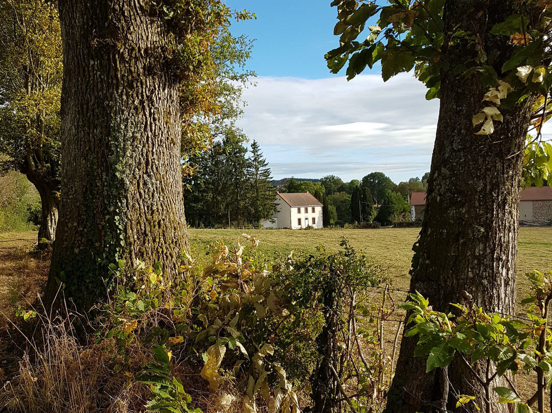 Montaigut-en-Combraille旅游攻略图片