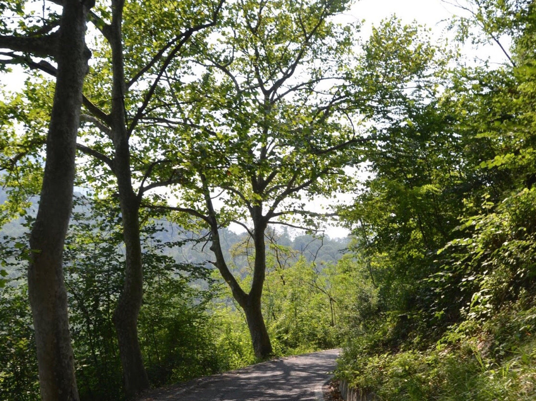 Boschi di Cittiglio-Cittiglio必去景点
