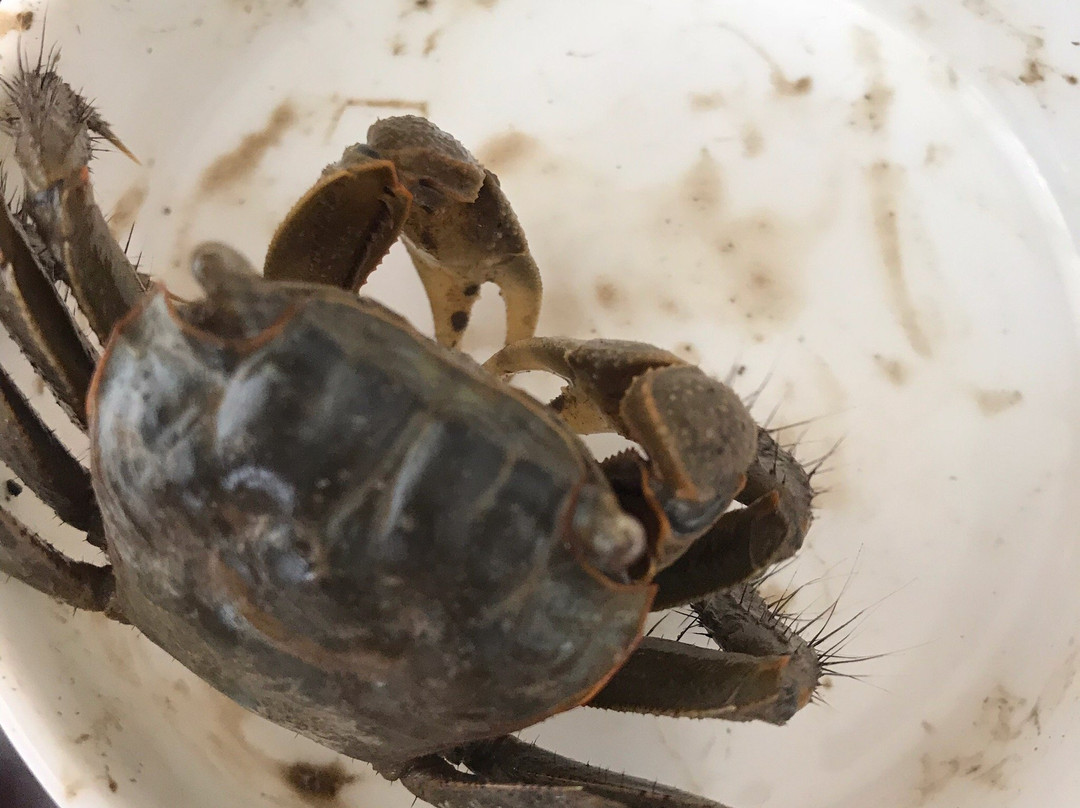 高尔夫酒店主图