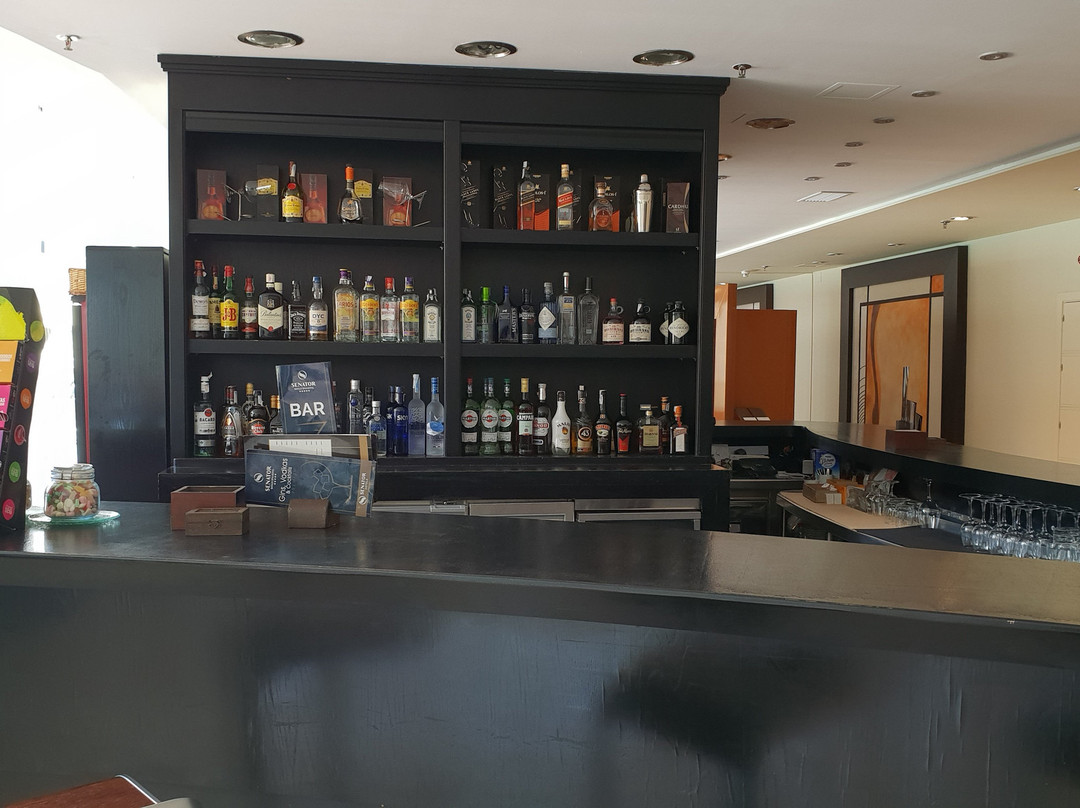Senator Banús Hotel主图