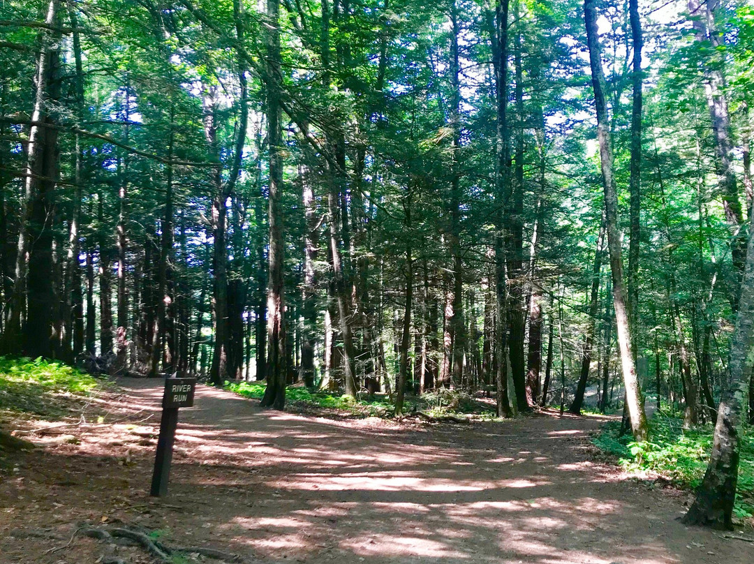 Vaughan Woods State Park景点图片