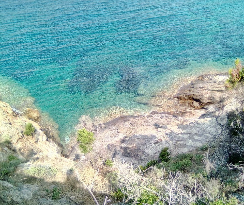 Spiaggia Di Buzzancone o Cera景点图片