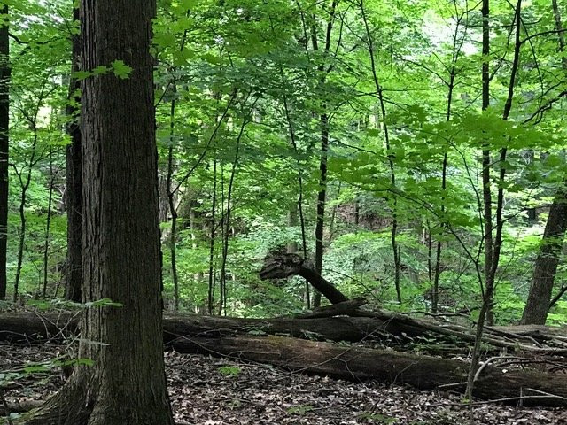 Wooster Memorial Park-Wooster必去景点