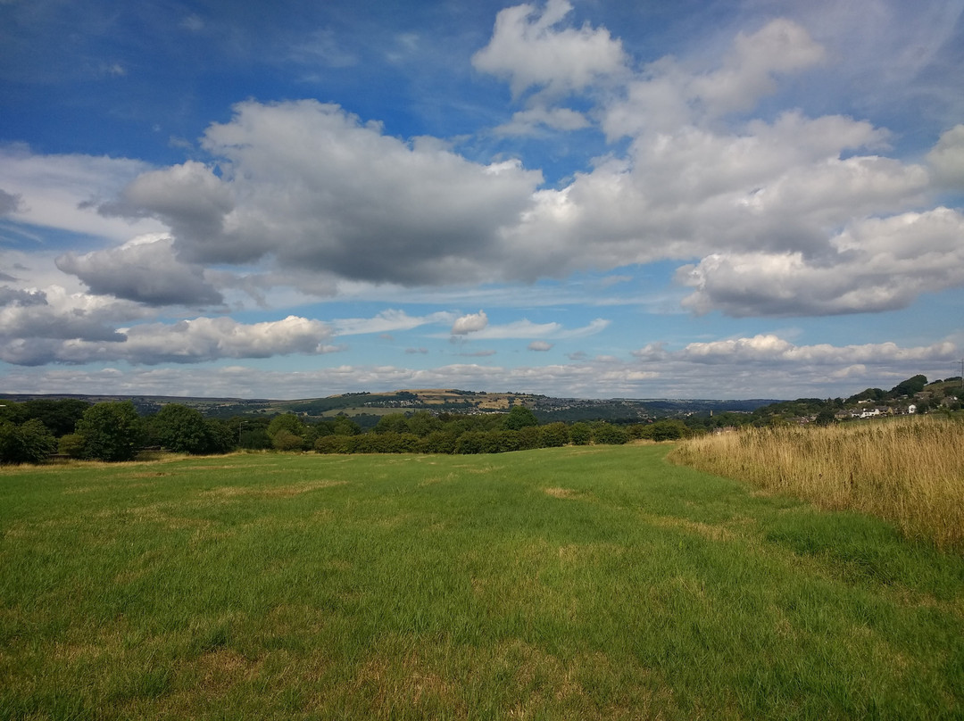 North Cliffe Woods景点图片