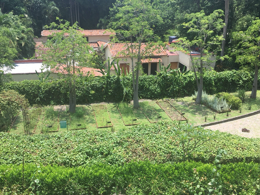 Hacienda Nogueras-Comala必去景点