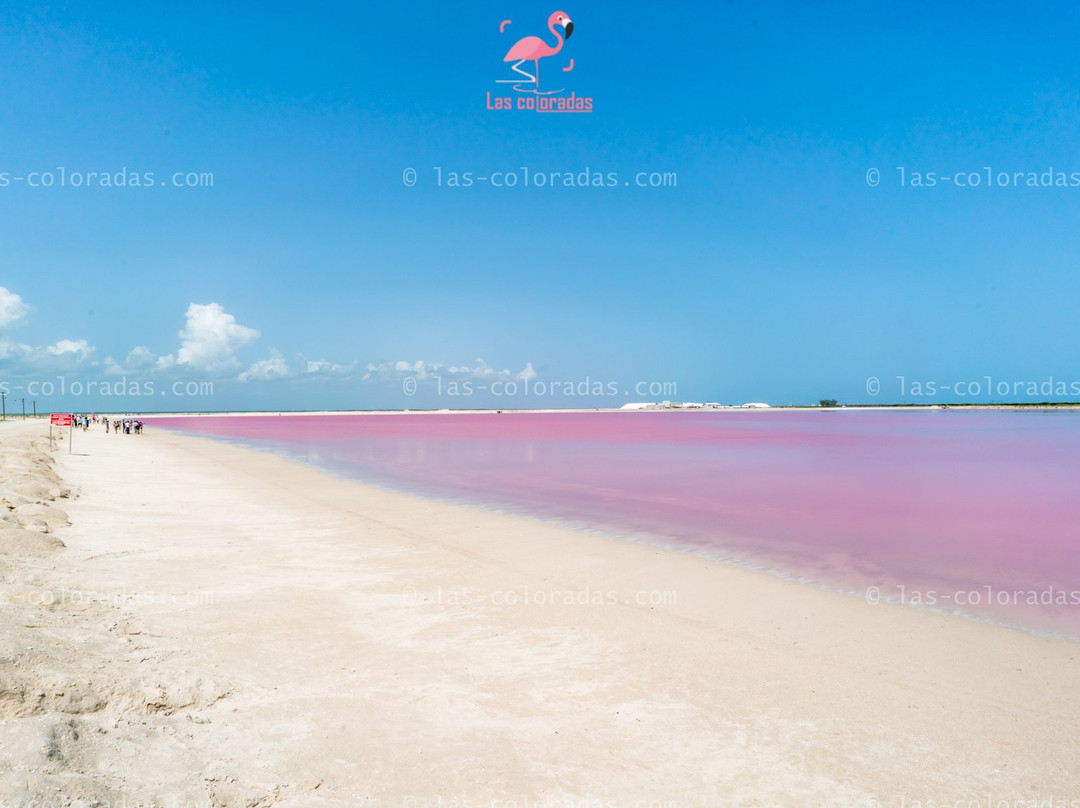 Las Coloradas Tours-普拉亚德尔卡曼必去景点