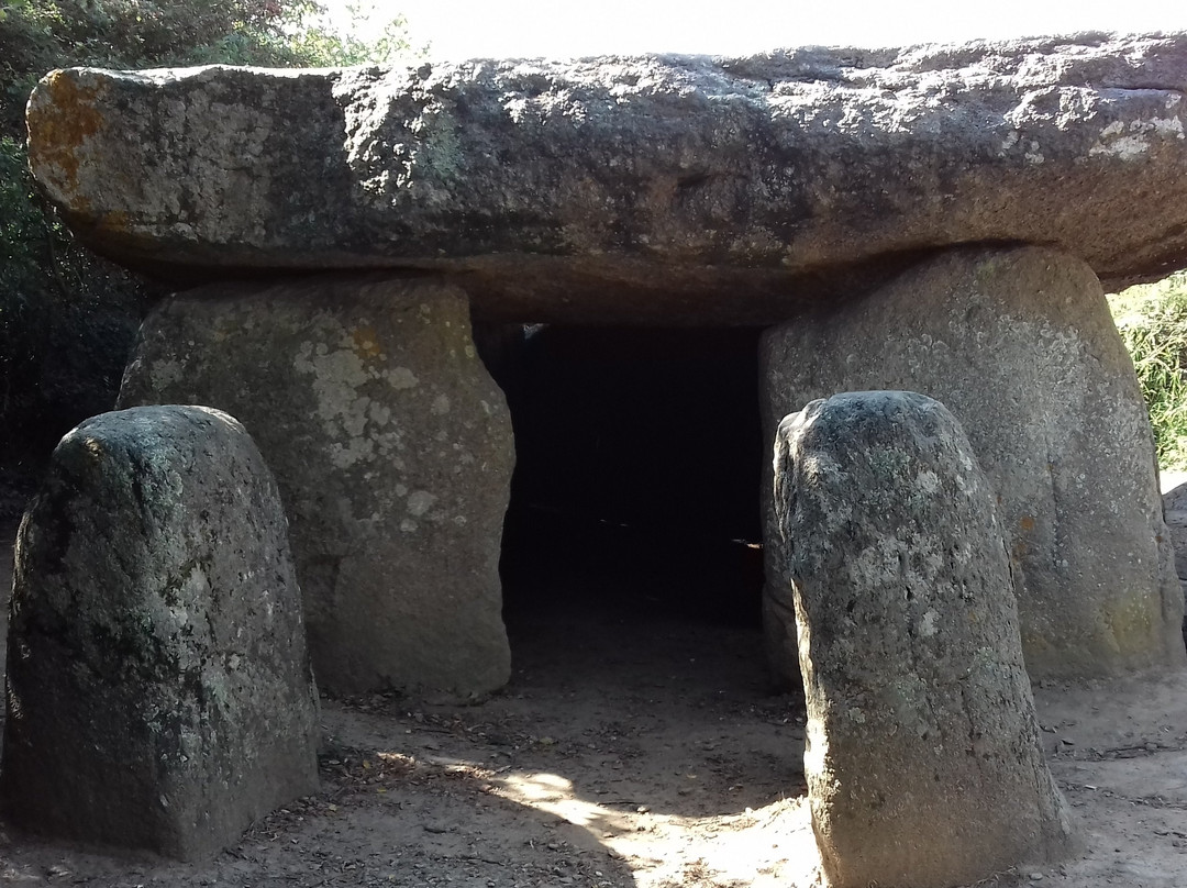 Dolmen de la Frébouchère景点图片