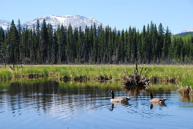Bluerock Wildland Provincial Park景点图片