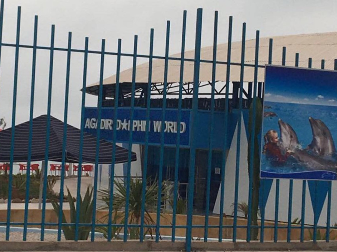 Agadir Dolphin World-阿加迪尔必去景点