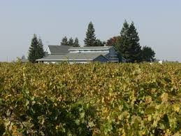 Harmony Wynelands-洛迪必去景点