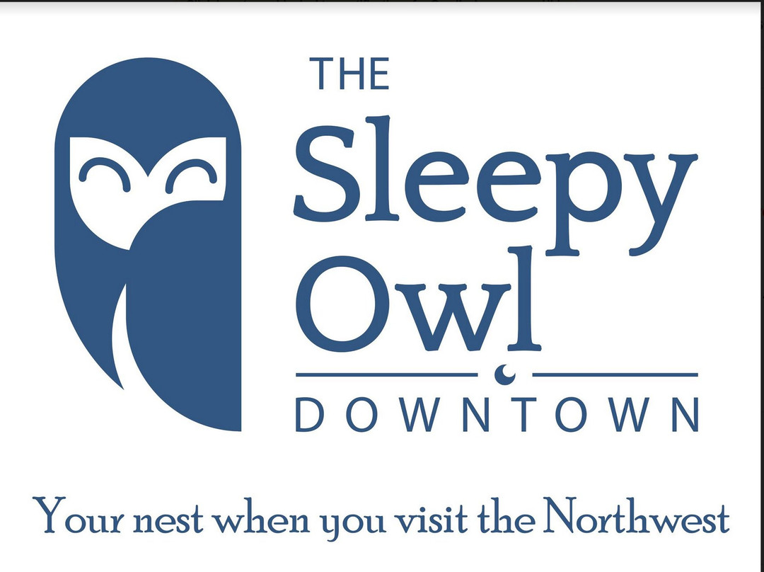 The Sleepy Owl主图