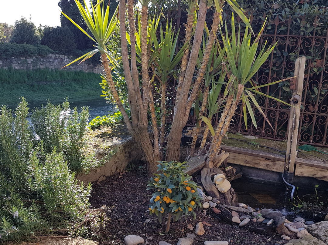 Atout Pézenas主图