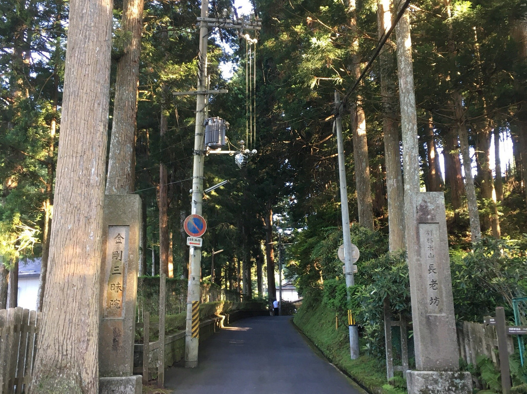 Kongosanmaiin-高野町必去景点