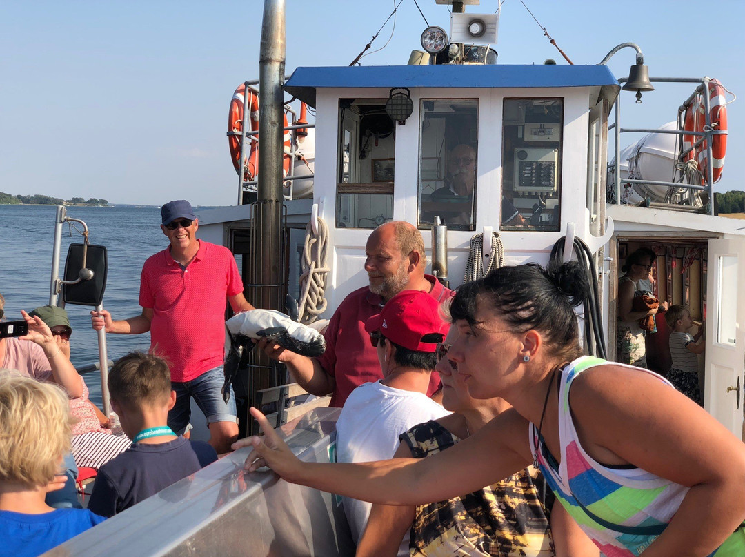 Gammel Havn, Middelfart-米泽尔法特必去景点