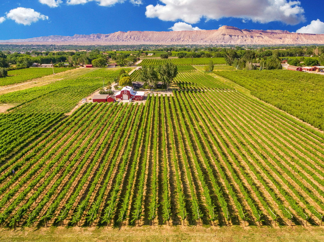 Mesa Park Fruit Co.-Palisade必去景点