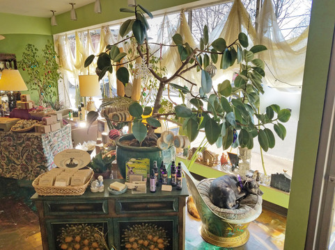 Herbaria-圣路易斯必去景点