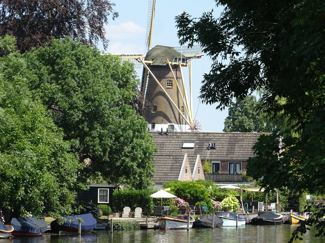 Korenmolen De Hoop景点图片