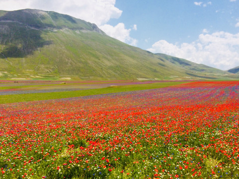 Castelluccio-翁布里亚必去景点