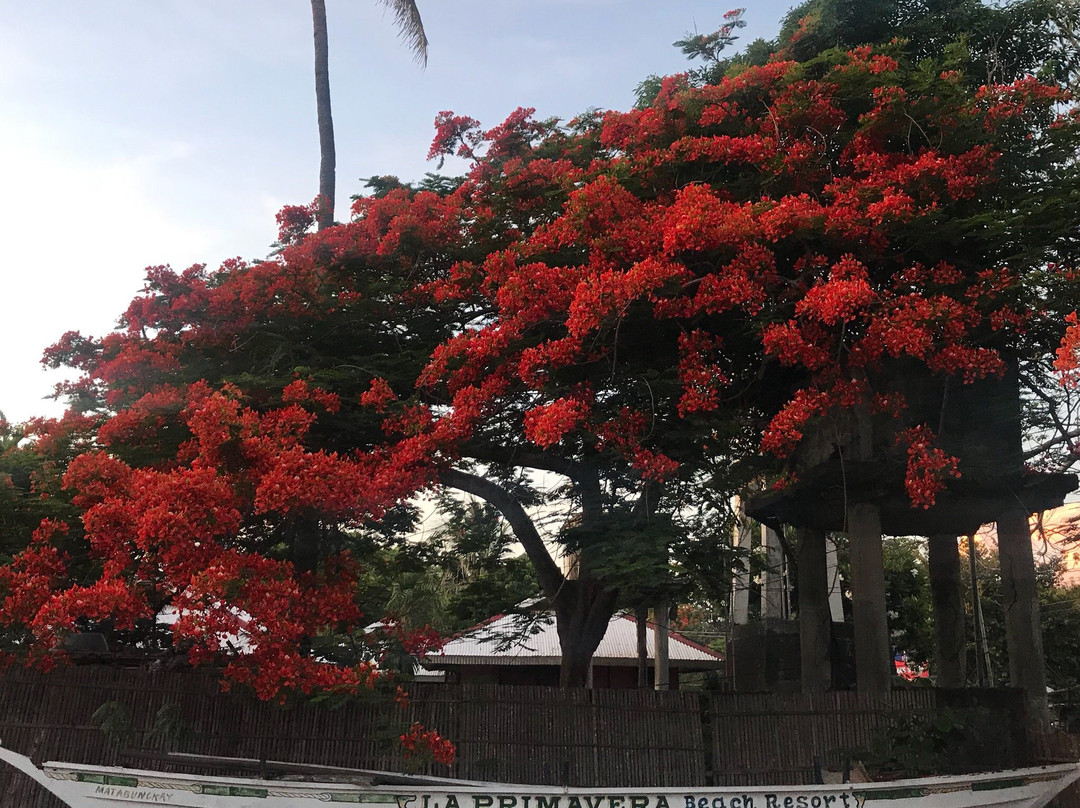普利马维拉海滩度假村主图