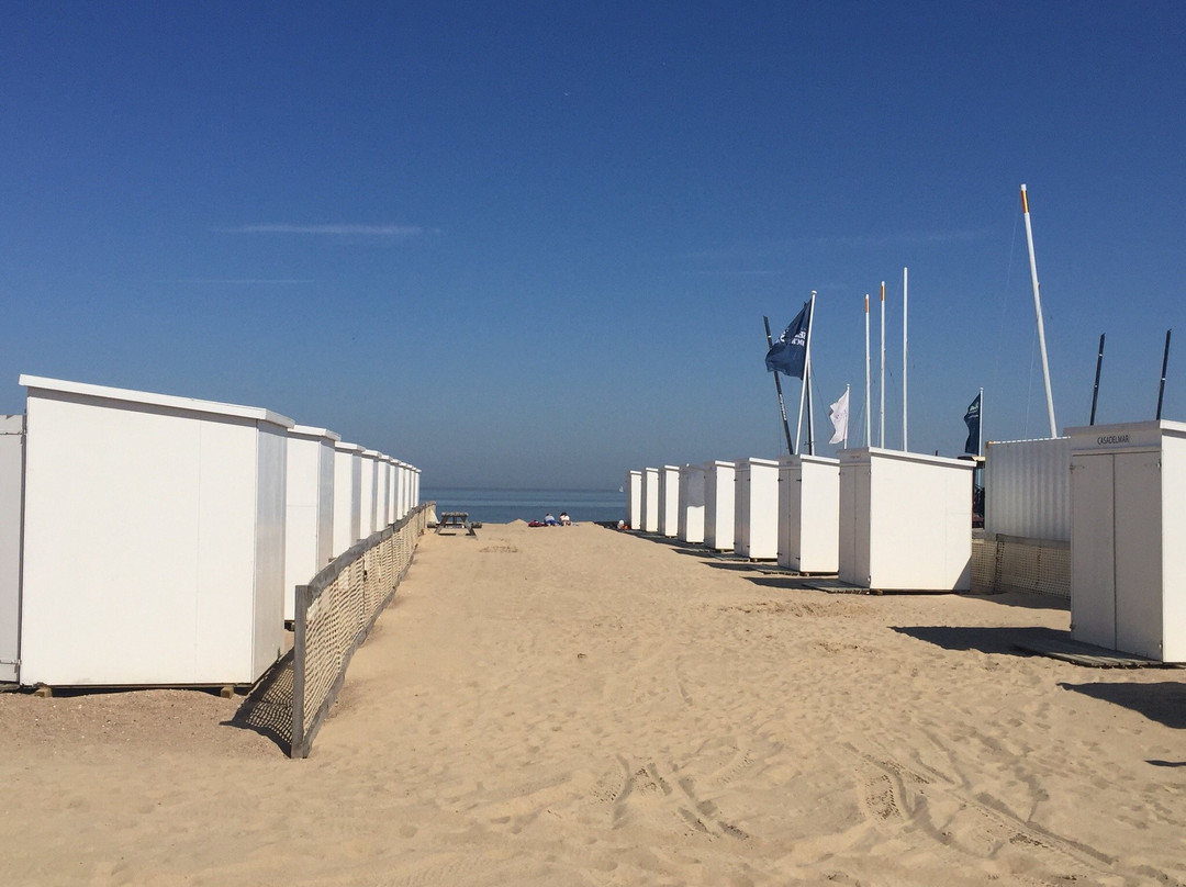 Royal Belgian Sailing Club Zoute-Het Zoute必去景点