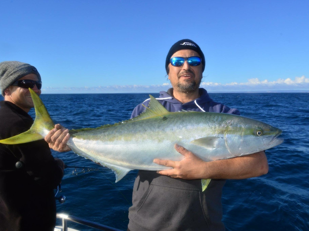 Keen as Fish-Marion Bay必去景点