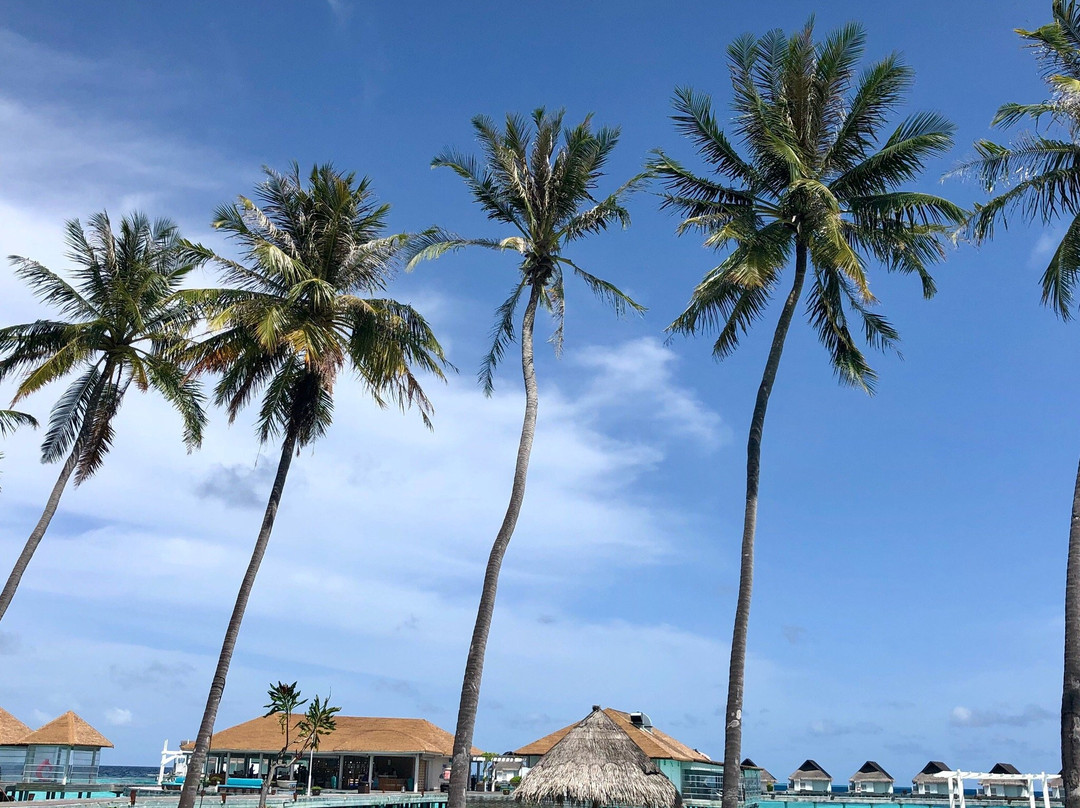 马尔代夫森塔拉豪华温泉度假岛主图