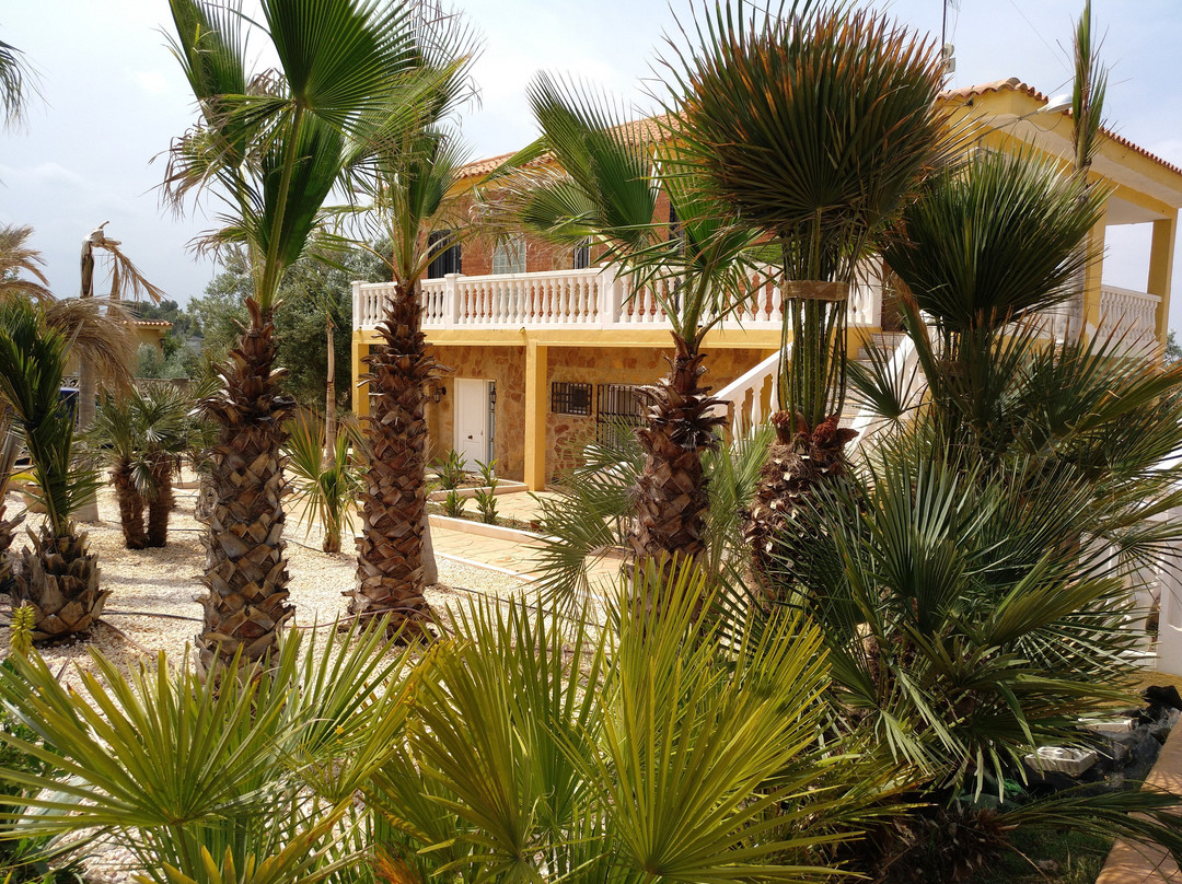 Casa Assutzena
