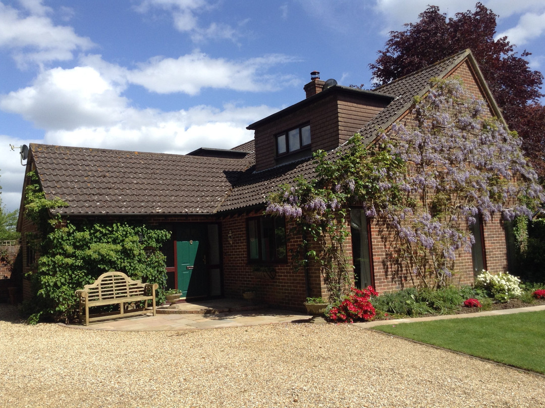 Ashen Bank B&B主图