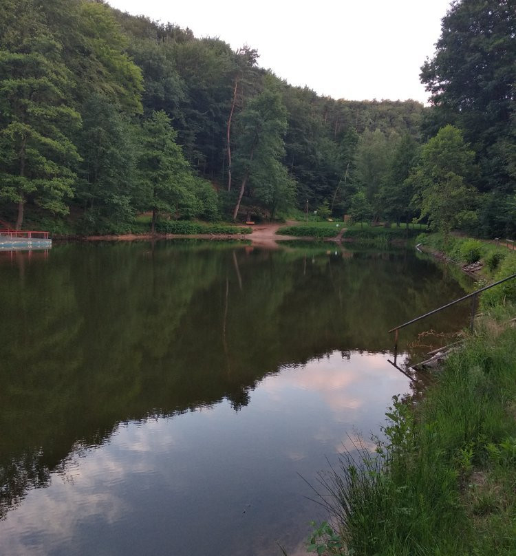 Barenlochweiher-Kindsbach必去景点