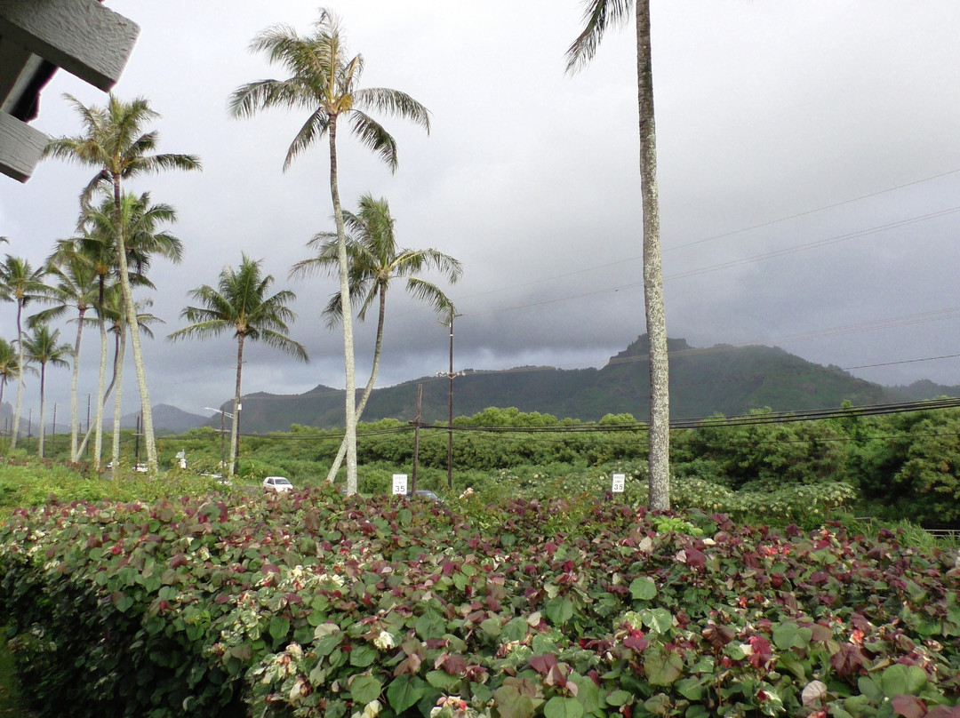 黑尔种植园套房酒店主图