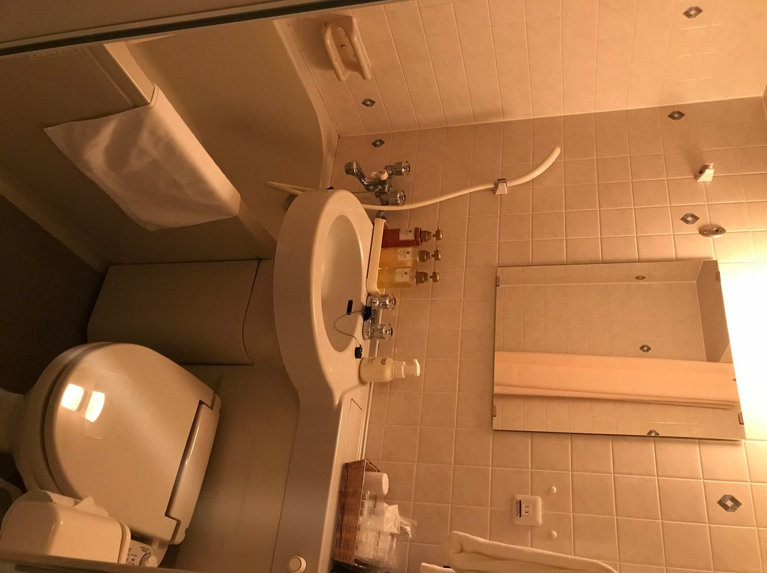 Okazaki New Grand Hotel主图