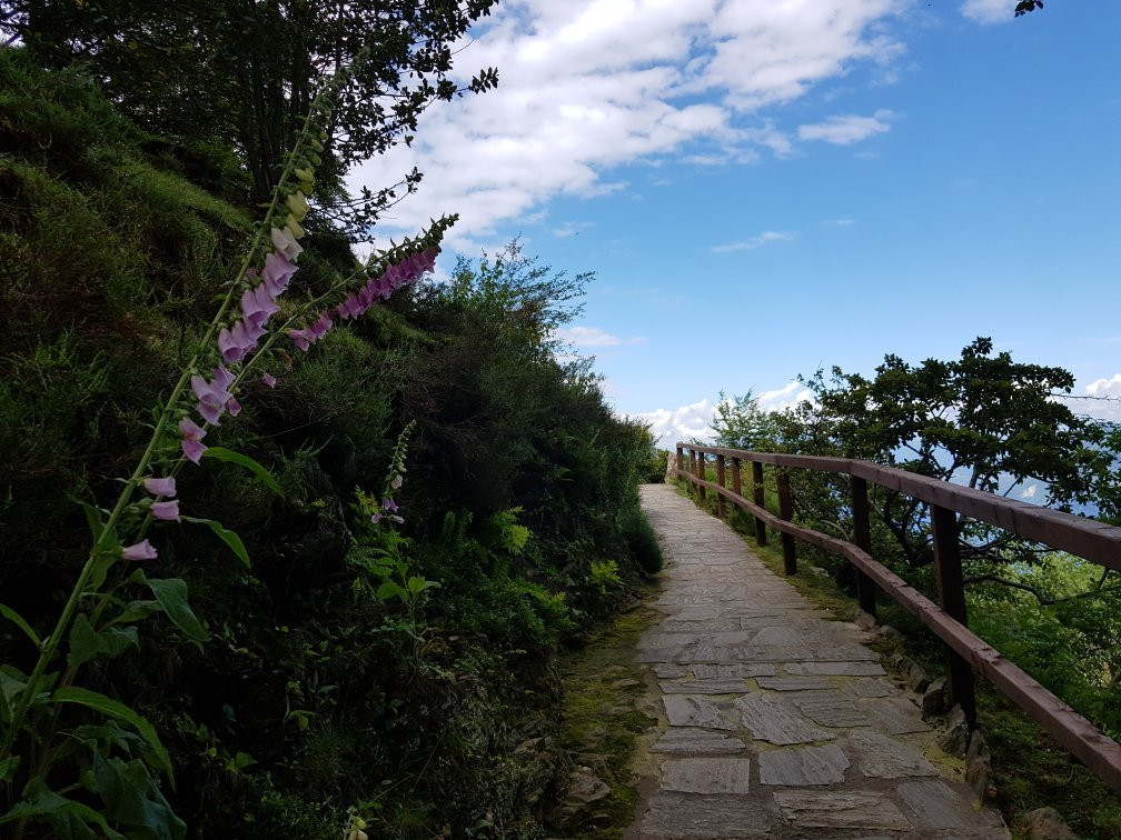 Giardino Botanico Alpinia景点图片