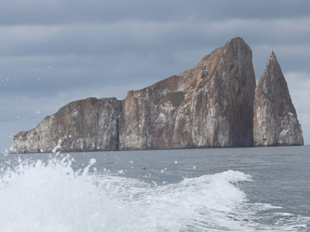 Galapagos Unbound-圣克鲁斯必去景点