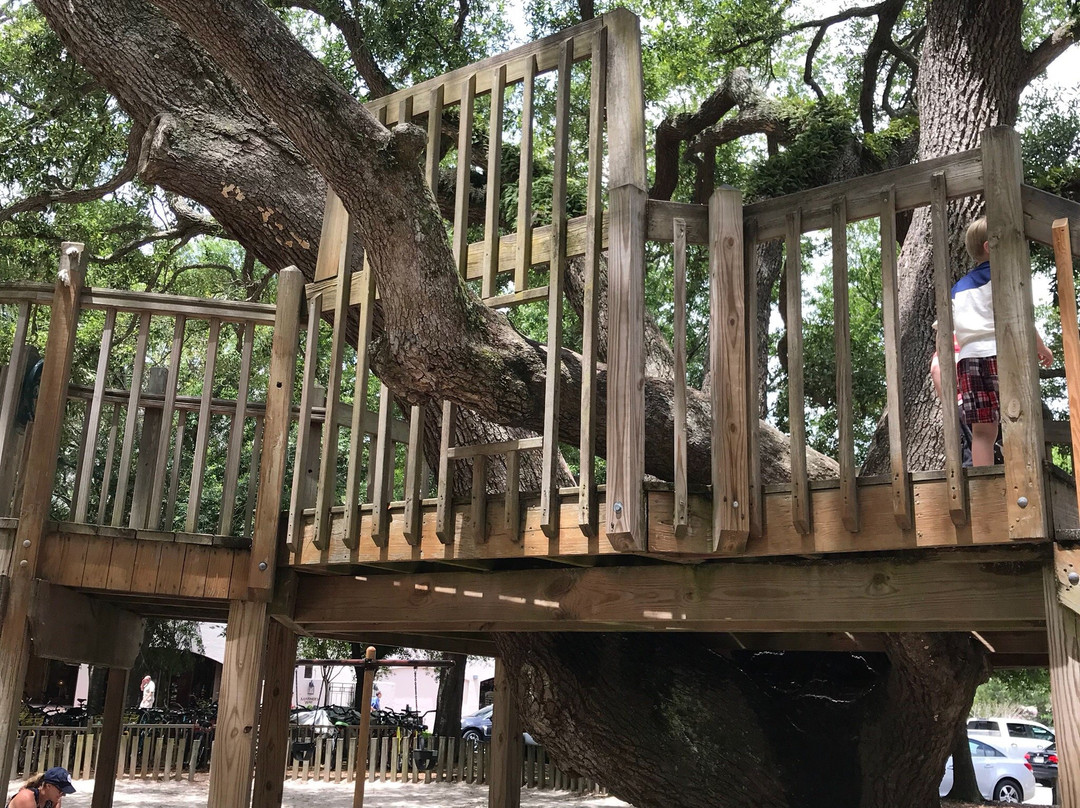 Gregg Russell Harbour Town Playground景点图片