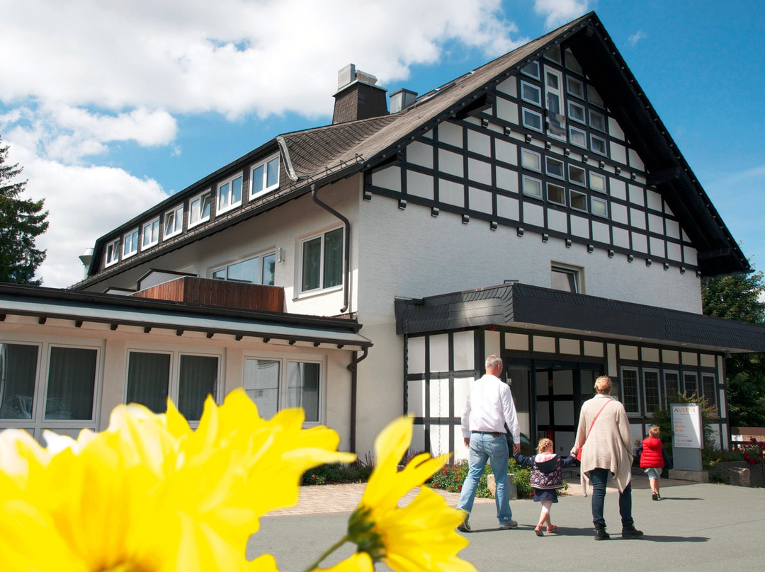 AVITAL Resort Winterberg主图