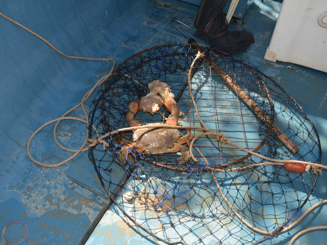 Fish N Trips Sport Fishing Charters-Derby必去景点