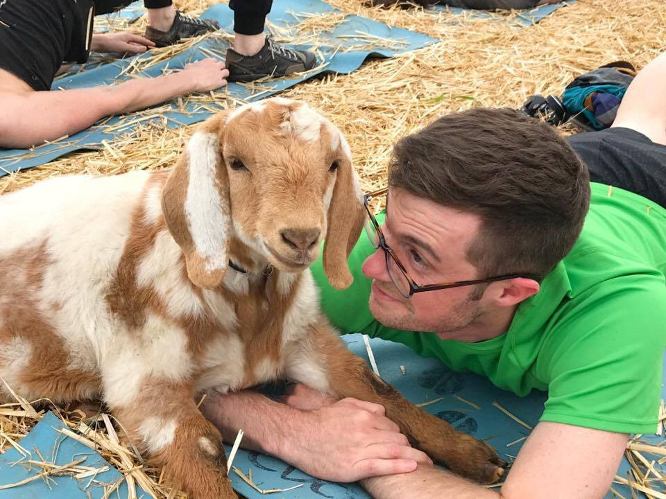 Oringal Goat Yoga-New York景点图片