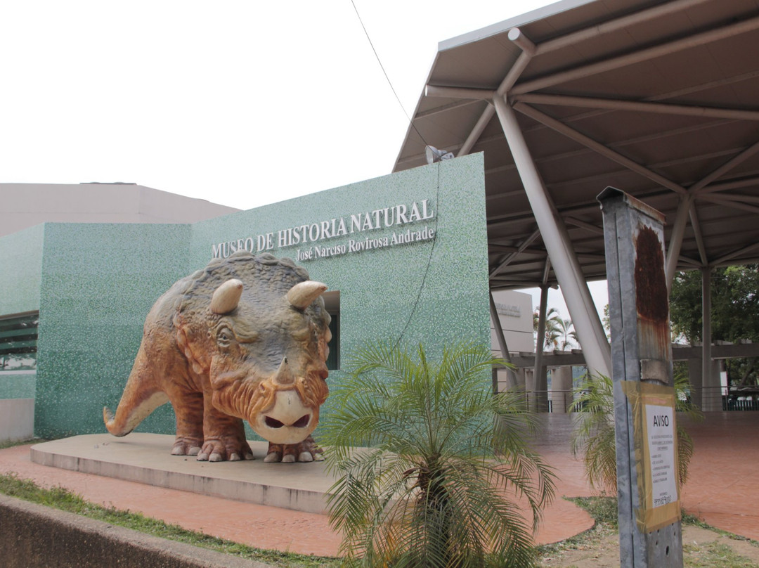 Museo de Historia Natural景点图片