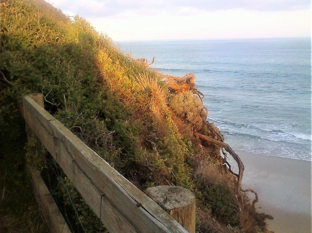 Reef Lookout-Aireys Inlet必去景点