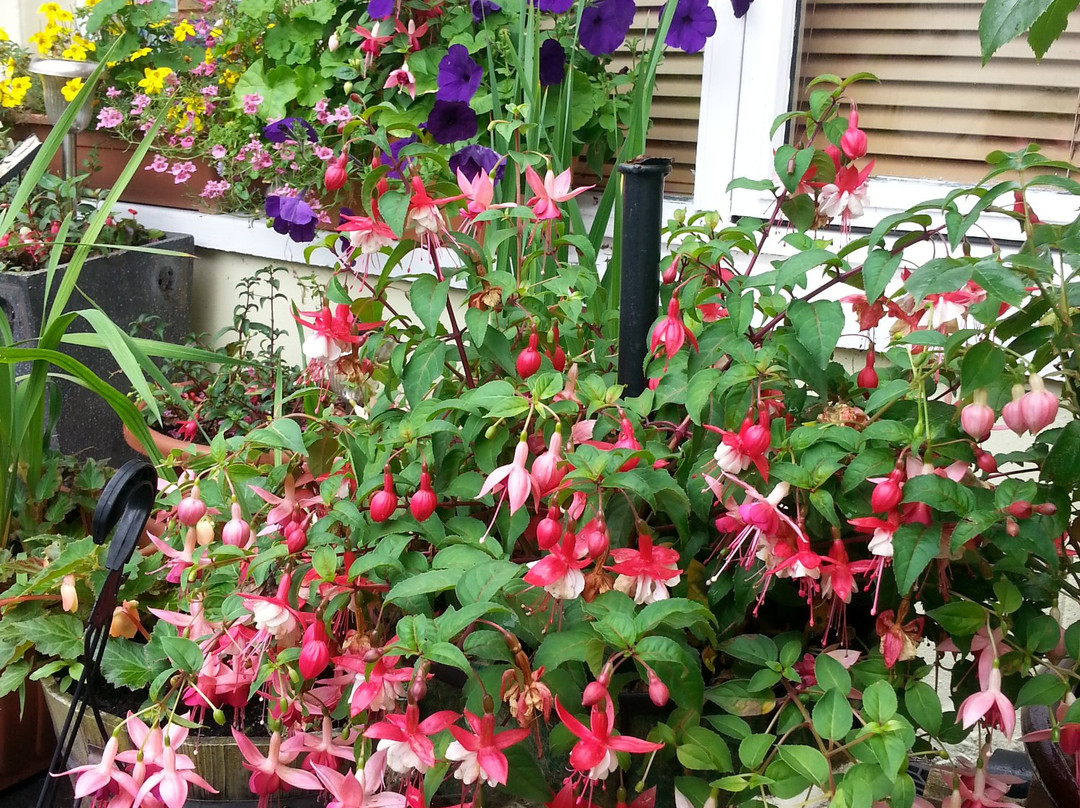 Broomfield House Bed & Breakfast主图