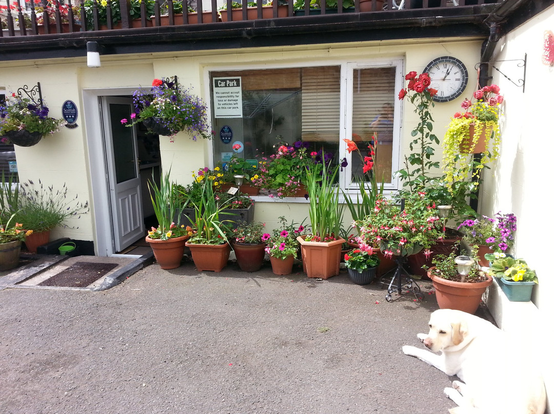 Broomfield House Bed & Breakfast主图