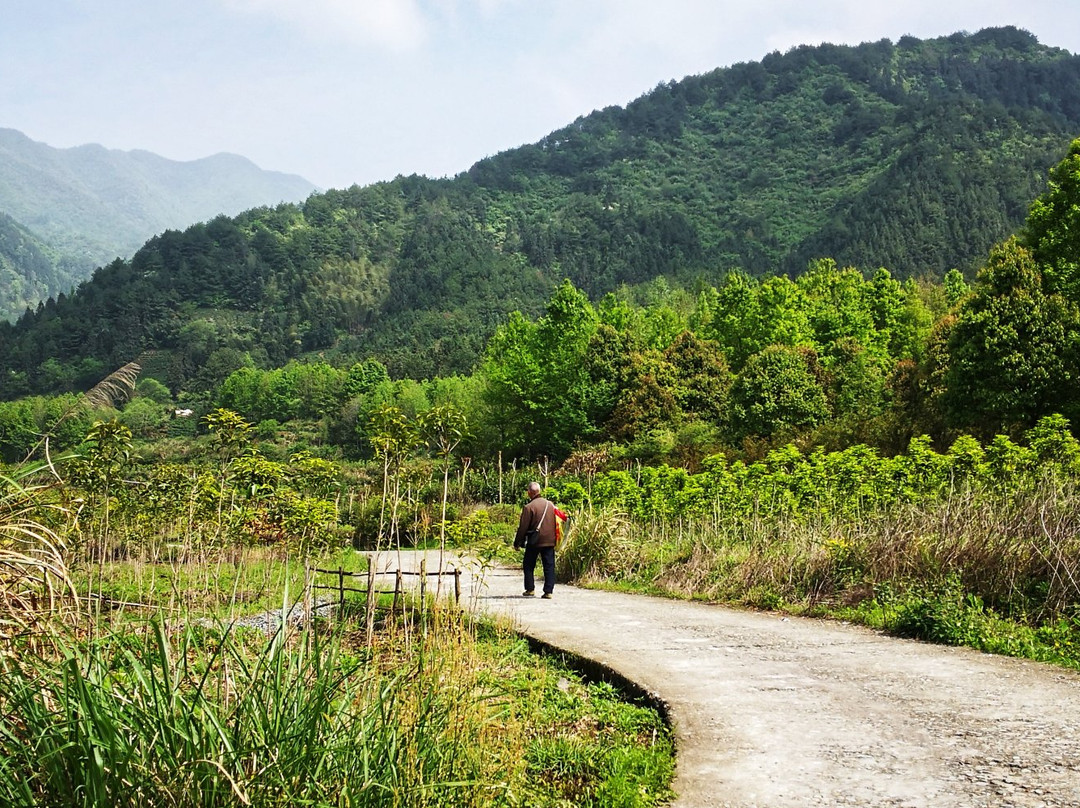 黟县猪栏酒吧客栈老油厂店主图