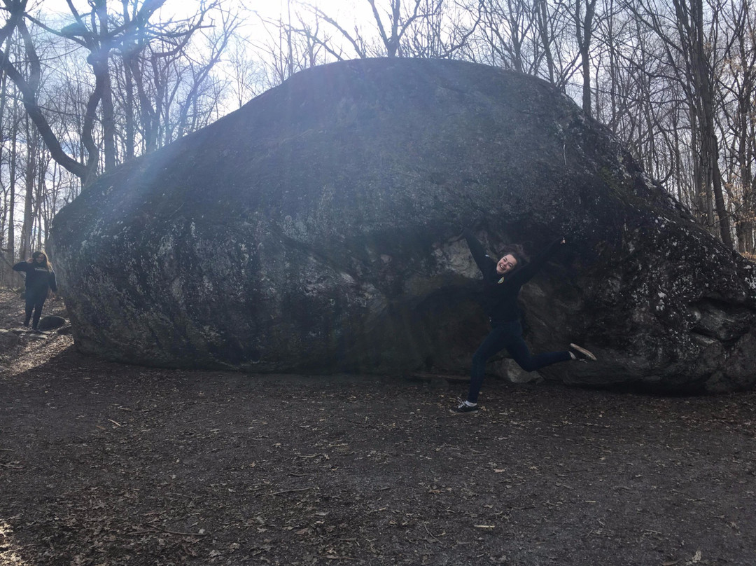 Bleasdell Boulder Conservation Area景点图片