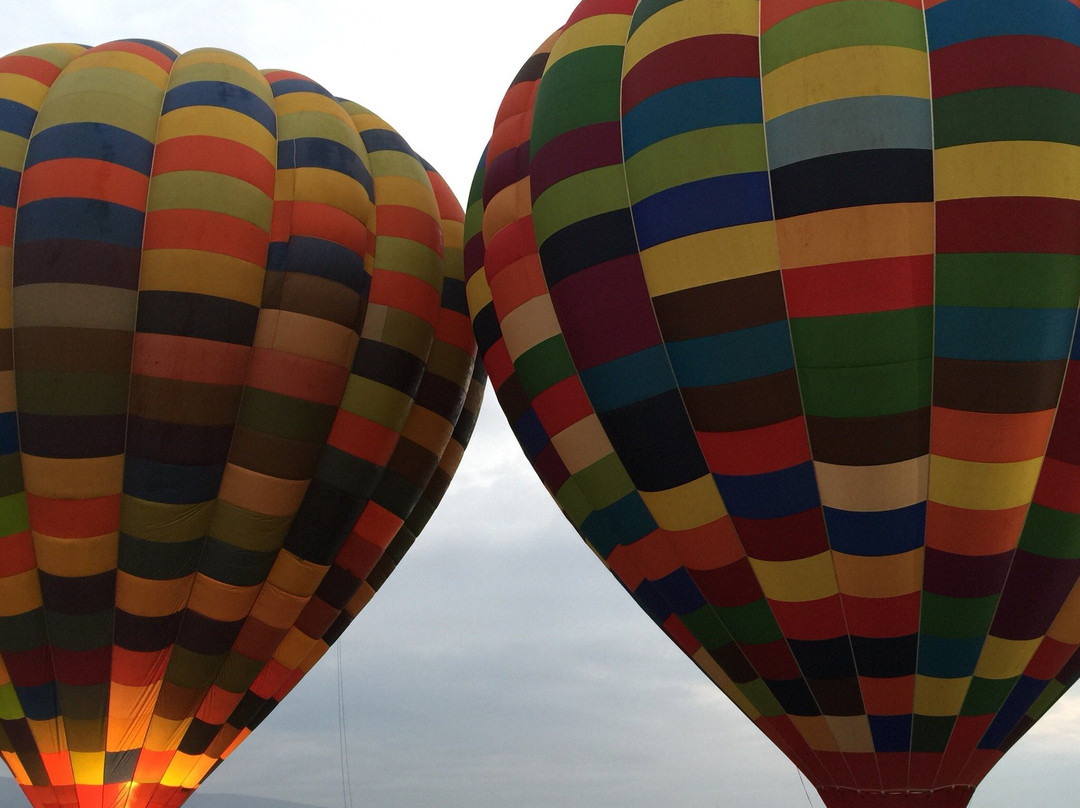 Bill Harrop's Original Balloon Safaris景点图片