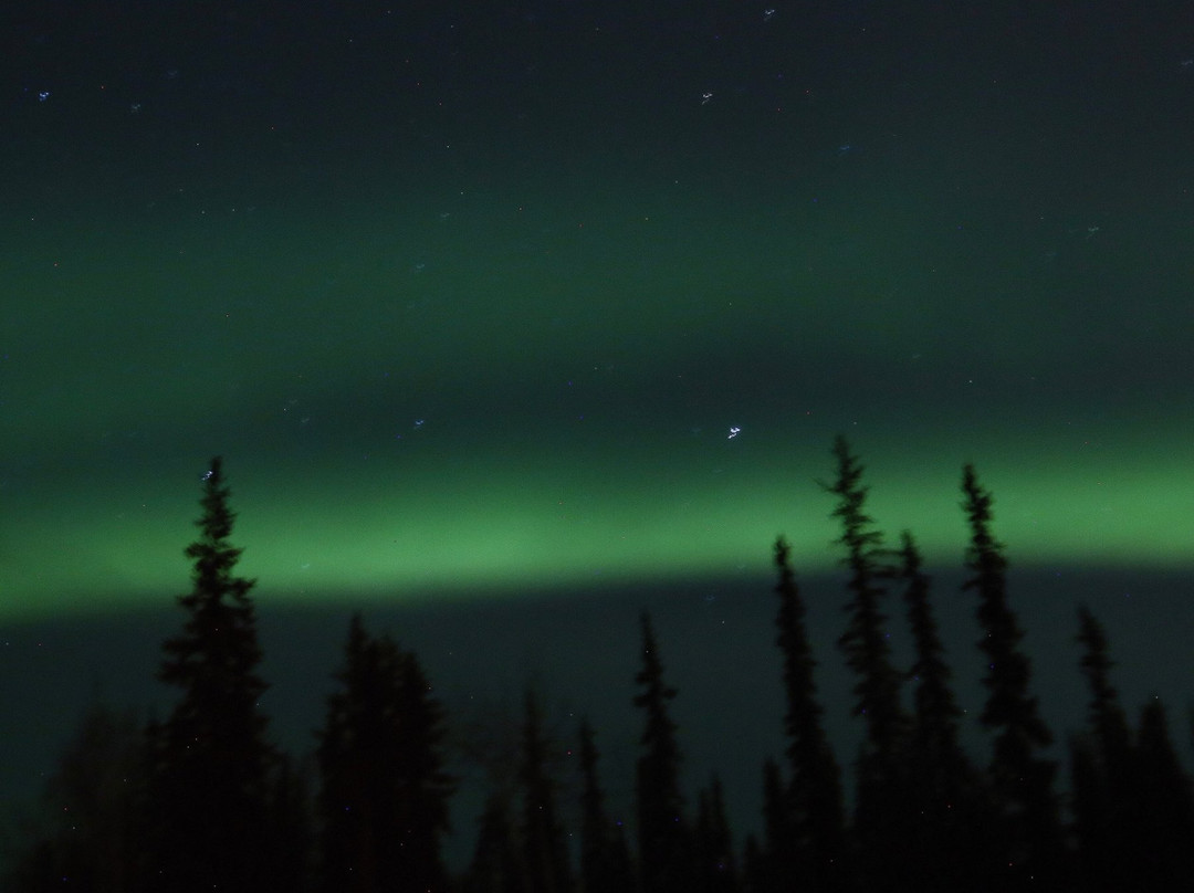 Hansen's Alaskan Adventures景点图片