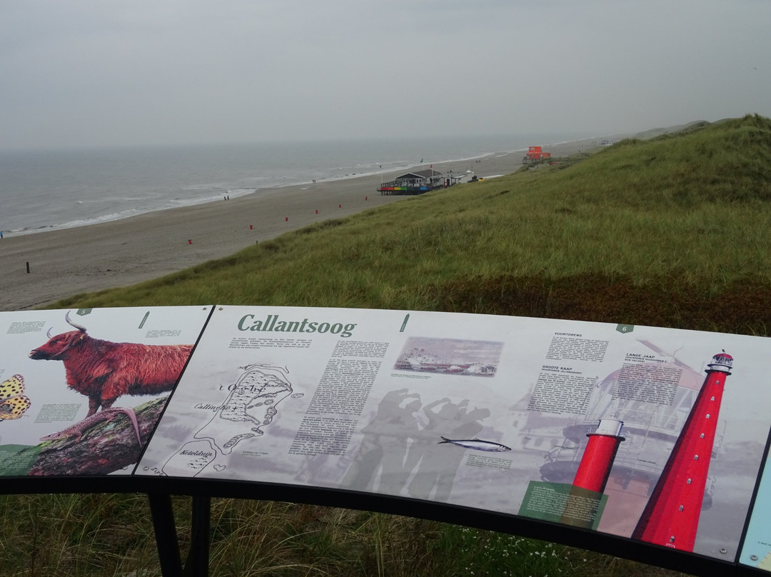 Callantsoog Beach景点图片