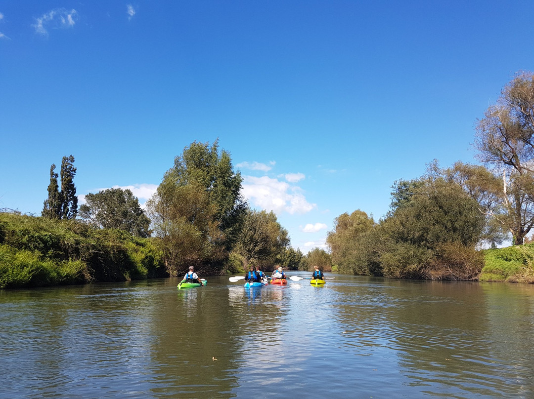 Adventure Te Aroha- 蒂阿罗哈必去景点