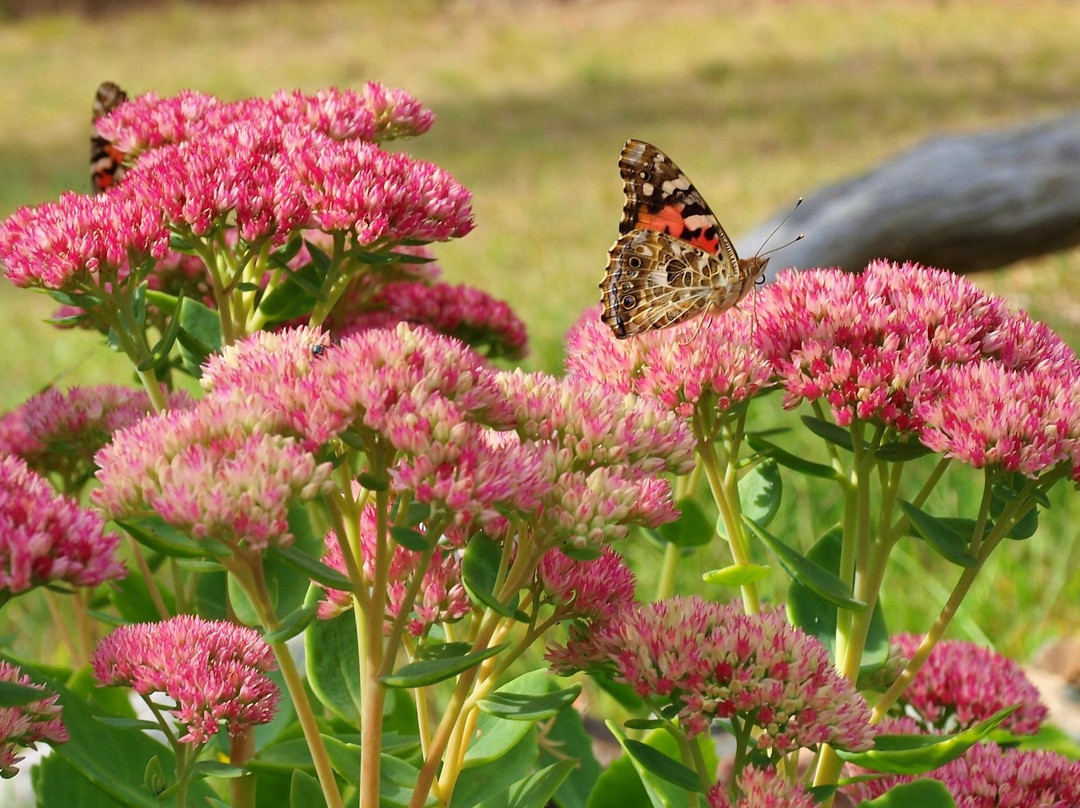 河滨汽车旅馆主图