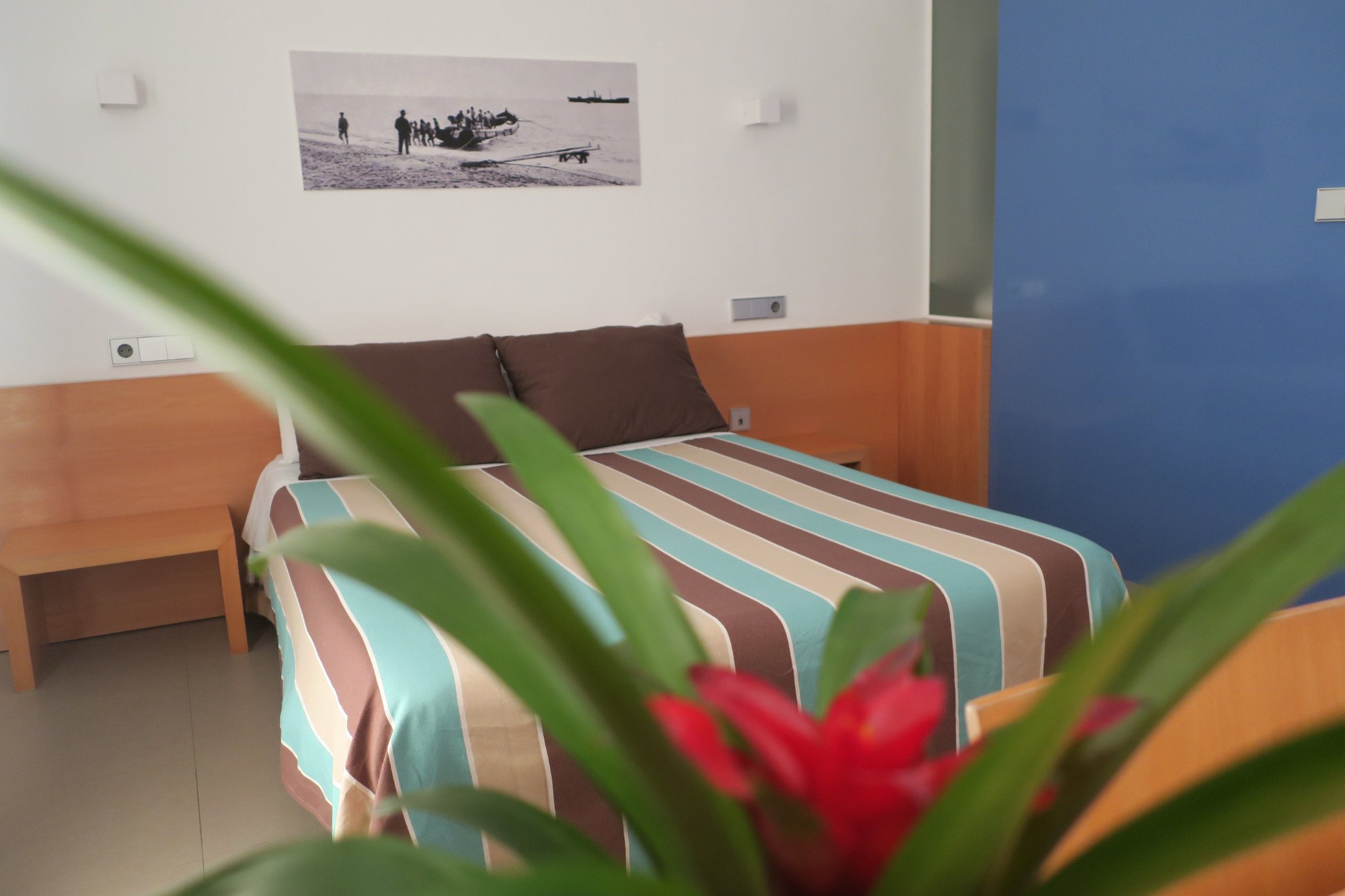 Hotel Alboran-官方