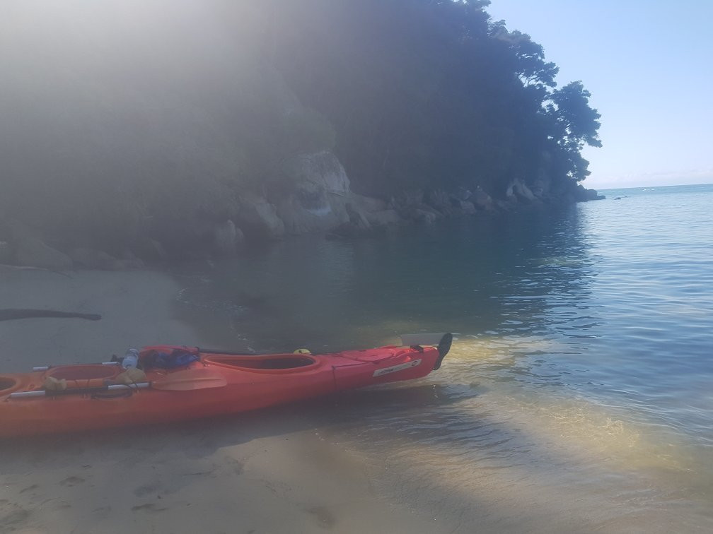 Tasman Bay Sea Kayaking Adventures景点图片